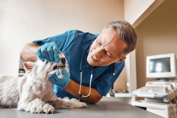 Best Emergency Root Canal Treatment in Lanett, AL